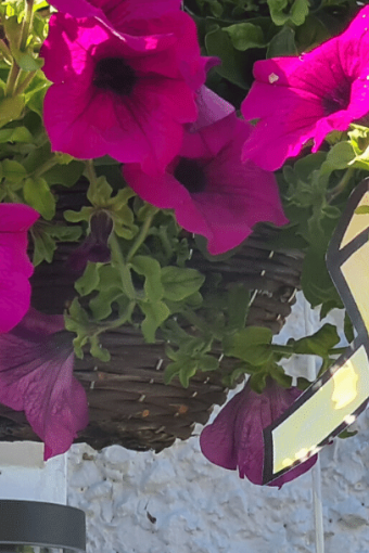 taking-part-in-forest-holme-s-tie-a-yellow-ribbon-event